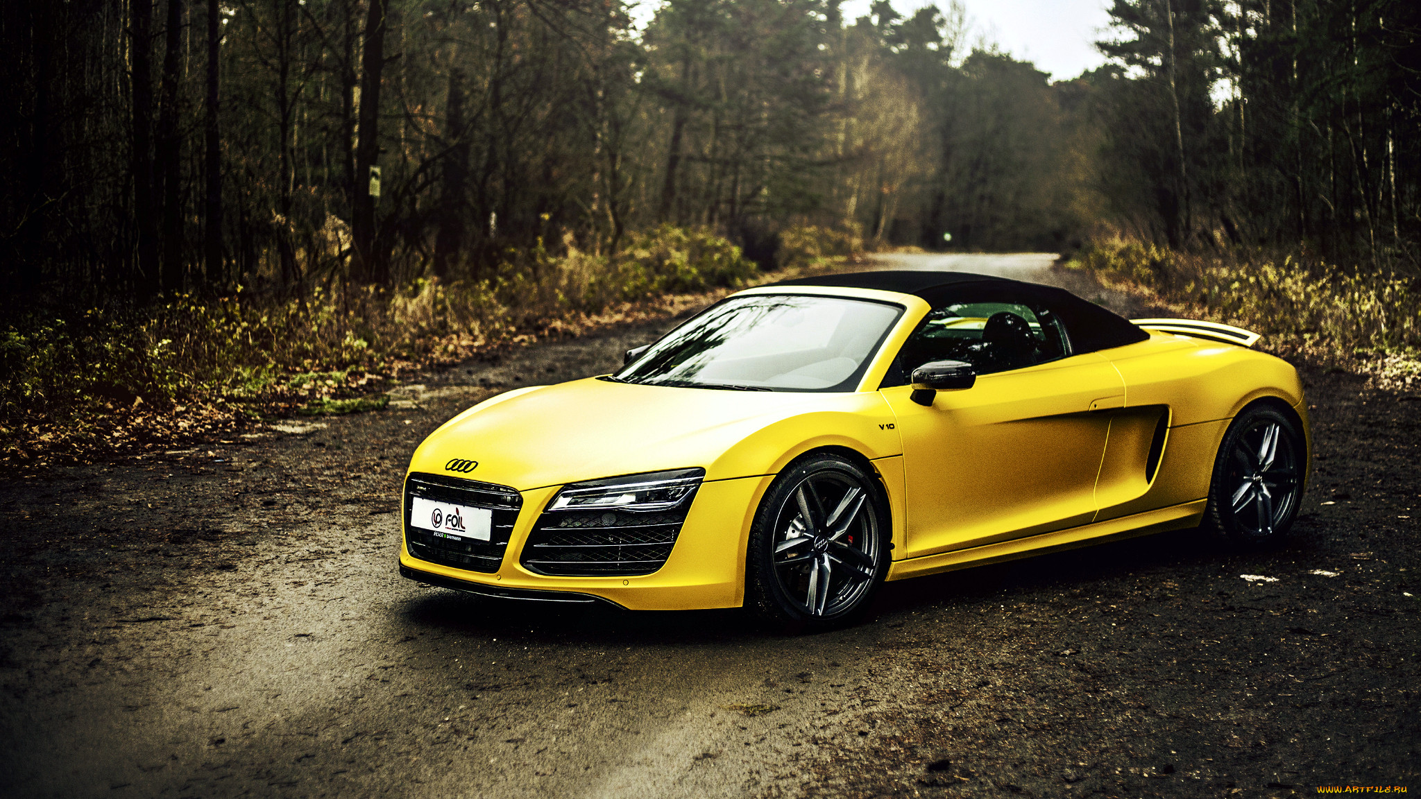 audi r8, , audi, , group, volkswagen, , ag, 